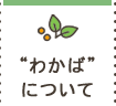 “わかば”について